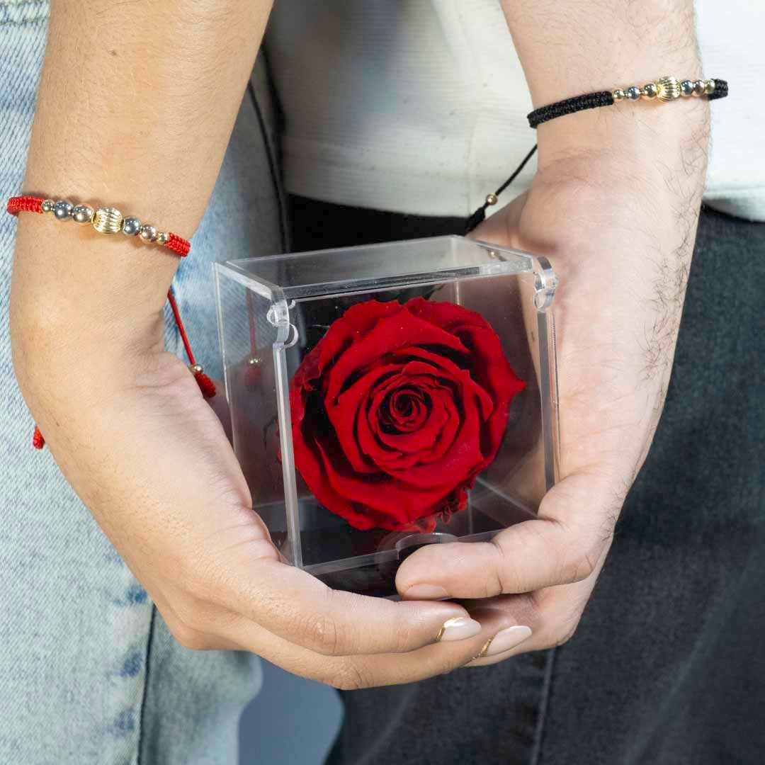 0005 - COMBO SAN VALENTIN -m4